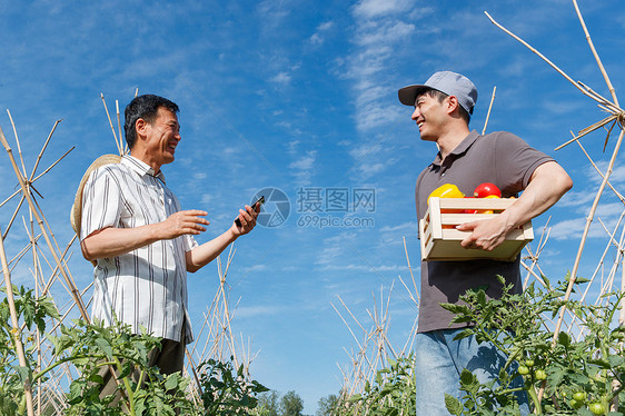 农民快递蔬菜图片