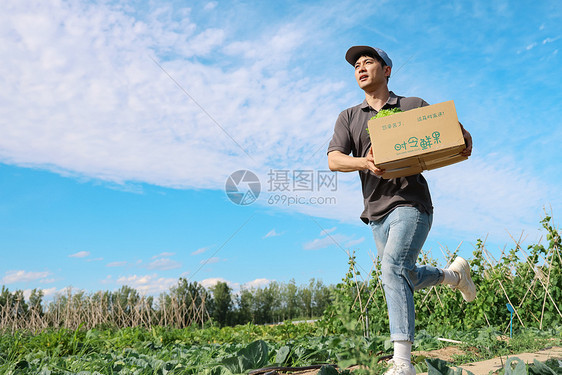 穿梭在田地间的快递员图片