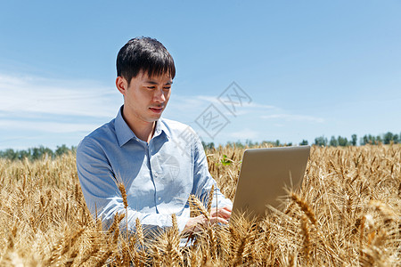 科研人员站在麦田里图片