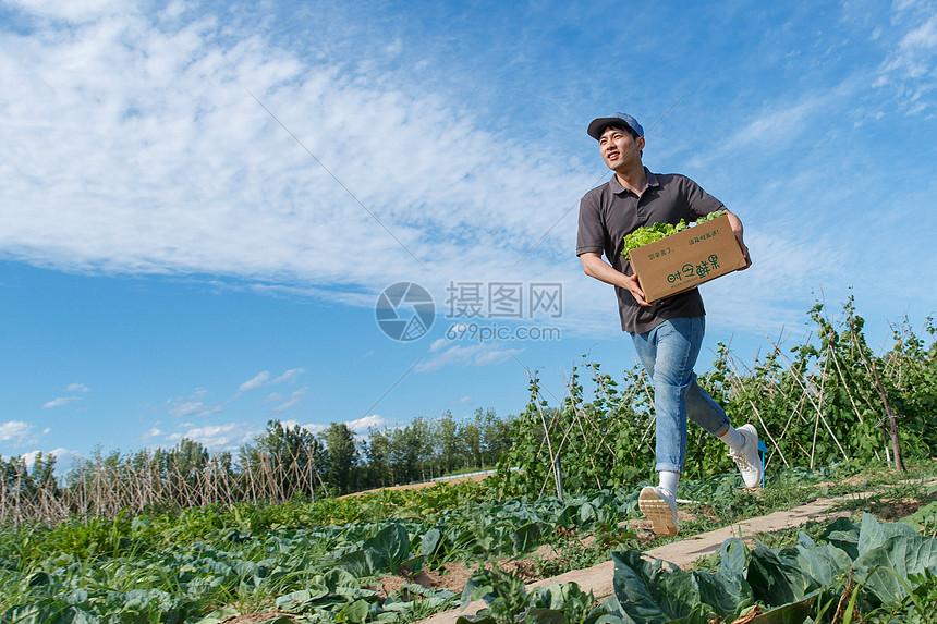 穿梭在田地间的快递员图片