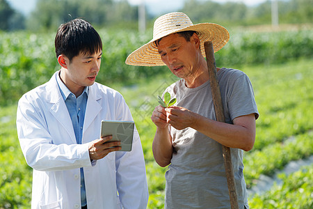 科研人员和农民在菜地里交流技术图片