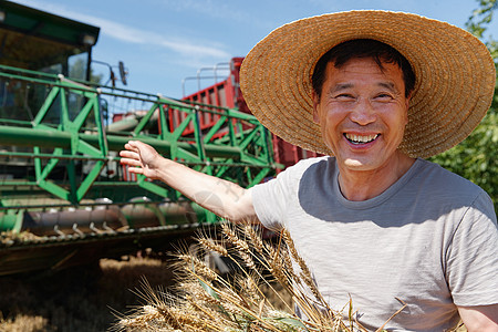 农民抱着麦穗农民洋溢着大丰收的喜悦背景