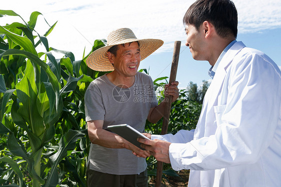 科研人员和农民在菜地里交流技术图片