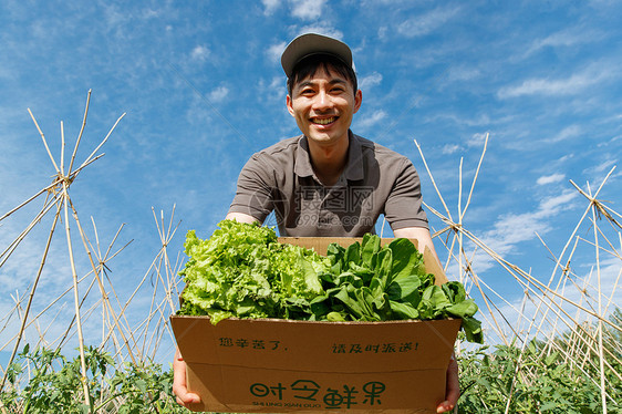 菜地里抱着新鲜蔬菜的快递员图片