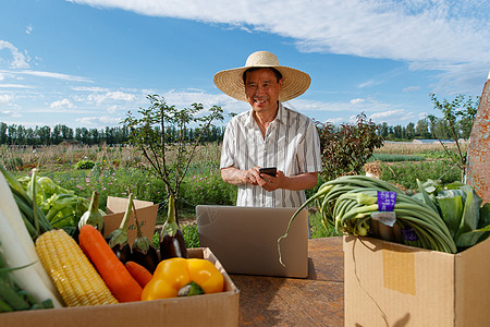 纯天然茄子农民在线直播销售农产品背景