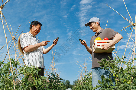 农民快递蔬菜图片