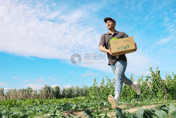 穿梭在田地间的快递员图片