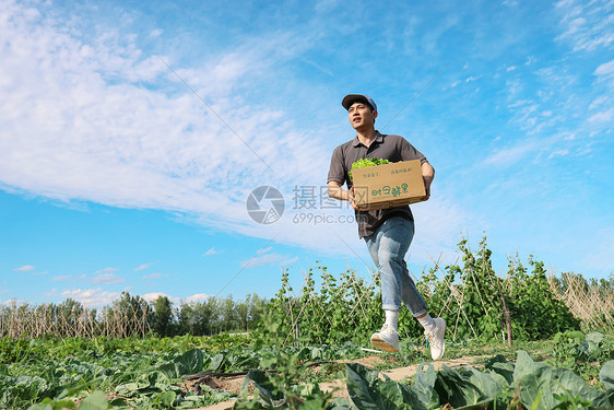 穿梭在田地间的快递员图片