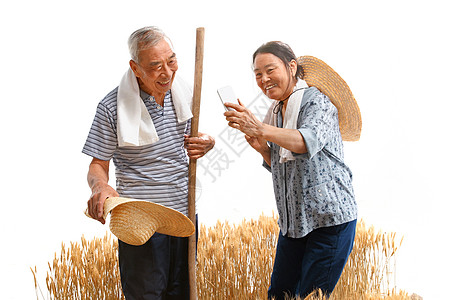 农民夫妇在麦田里用手机视频图片