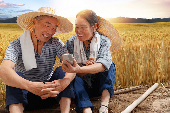 农民夫妇坐在麦田里用手机视频图片