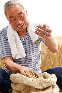 农民用手捧着麦粒图片