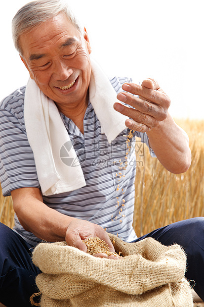 农民用手捧着麦粒图片