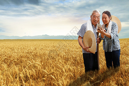 农民夫妇站在麦田里用手机视频图片