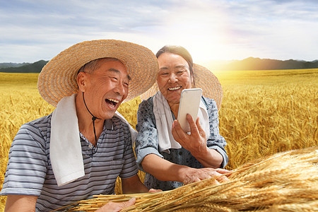 农民夫妇坐在麦田里用手机视频图片