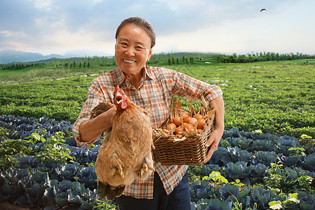 站在田间的农民拿着鸡和鸡蛋图片