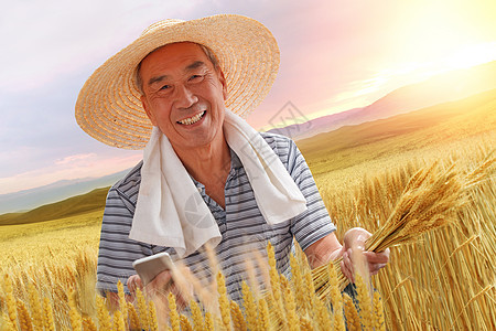农民在麦田里用手机图片