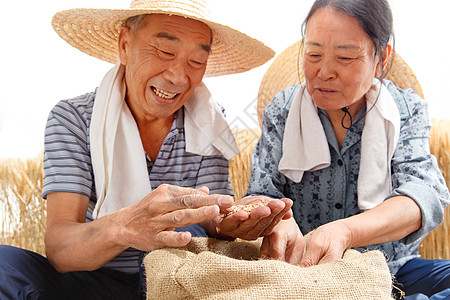 农民夫妇幸福的看着麦子图片