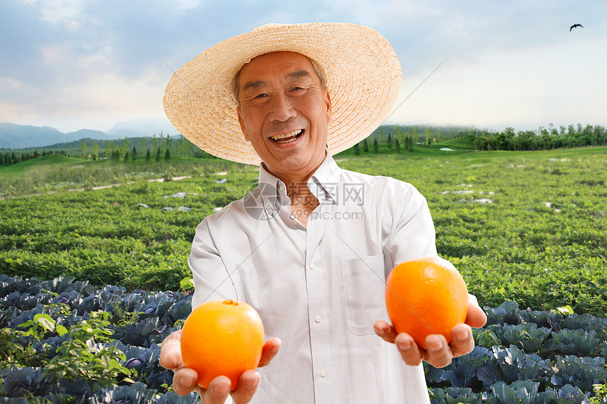 农民日报报道的农业科技新成果助力粮食增产 (农民日报报道幸福花苑社区)