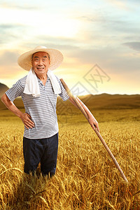 在麦田里劳动的农民图片