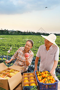 农民在线直播销售农产品图片