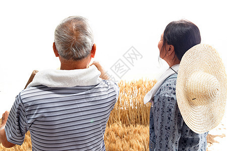 农民夫妇在麦田里劳动图片