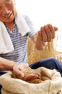 农民用手捧着麦粒高清图片