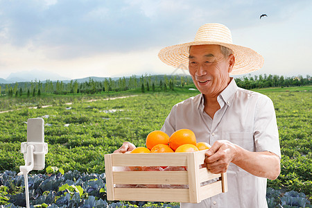 农民在线直播销售水果图片