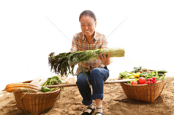 坐在田头拿着蔬菜的农民图片