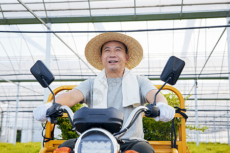 蔬菜配送车农民开车运输蔬菜背景