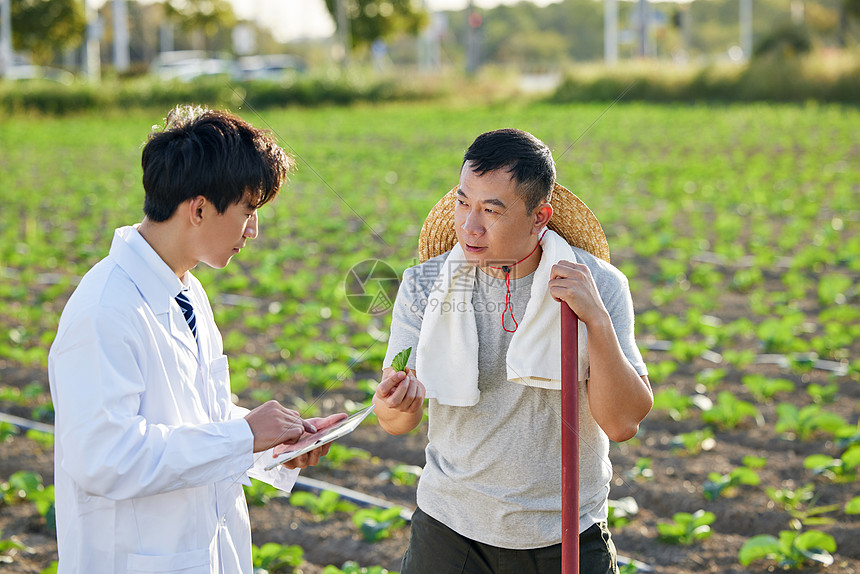专家预测本场高分对攻 战术博弈与临场发挥成关键变量