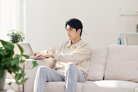 坐在客厅使用笔记本电脑的年轻人图片