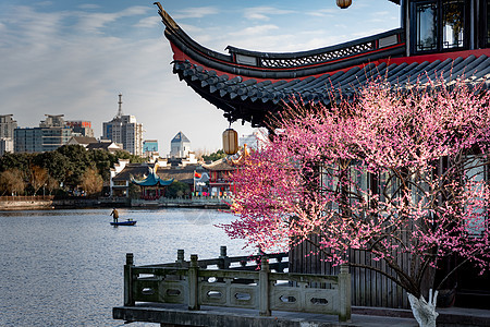 浪漫的古风建筑和梅花图片