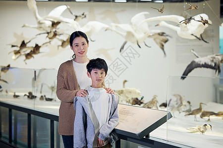 妈妈和儿子参观飞禽走兽标本背景图片