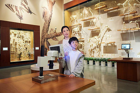 电子显微镜扫描用电子显微镜观察化石的母子背景