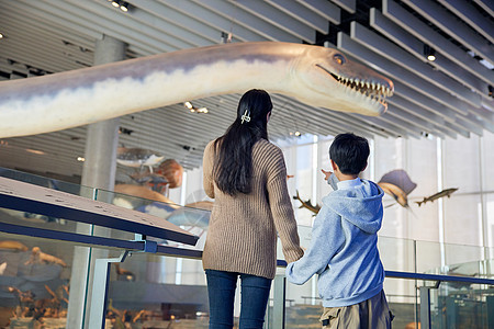 甘肃省博物馆母亲带着孩子在自然博物馆参观背影背景