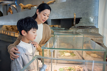 小男孩和妈妈一起参观动物化石背景图片