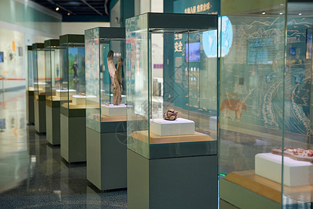 上海自然博物馆展厅背景图片