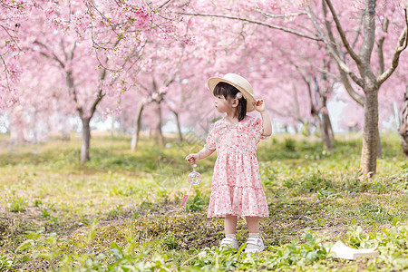 春天樱花下春游踏青的可爱小女孩图片