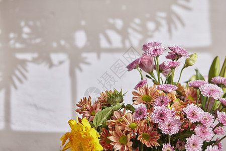 教师节花束阳光下的花束背景