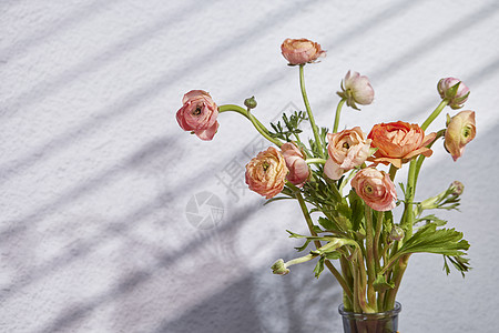 立体花卉海报背景阳光下的花束背景