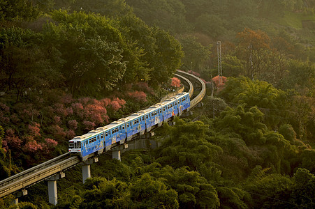 山谷间开往春天的列车背景图片