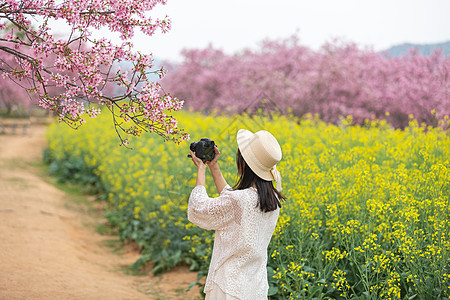 春天樱花树下拍照的女生背影图片