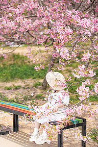 樱花树下的小女孩图片