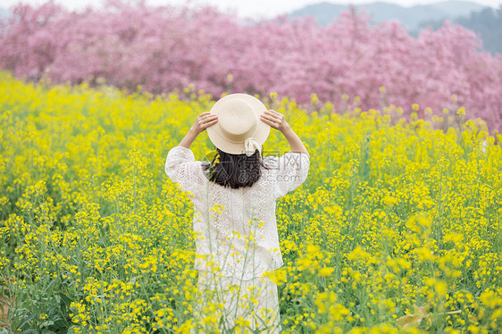 春天花海中的女生背影图片