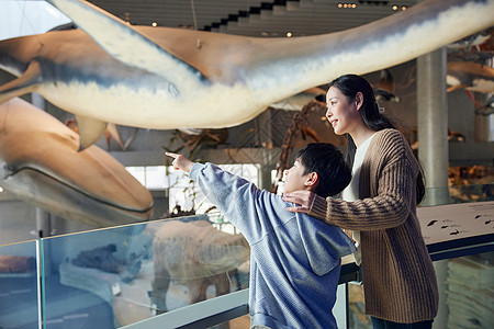 母亲和儿子参观博物馆图片