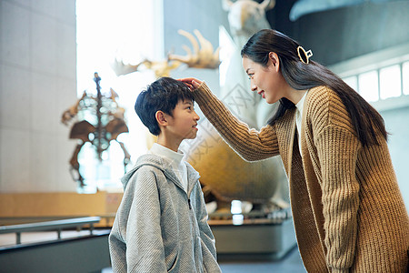 自然博物馆母亲抚摸儿子的头背景