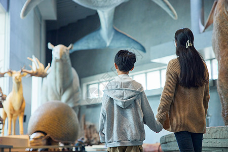 活动展览母亲和儿子在博物馆背影背景