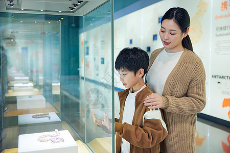 儿童在博物馆观察标本图片