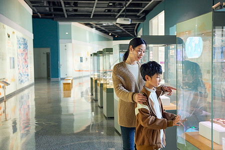儿童在博物馆观察橱窗内标本图片