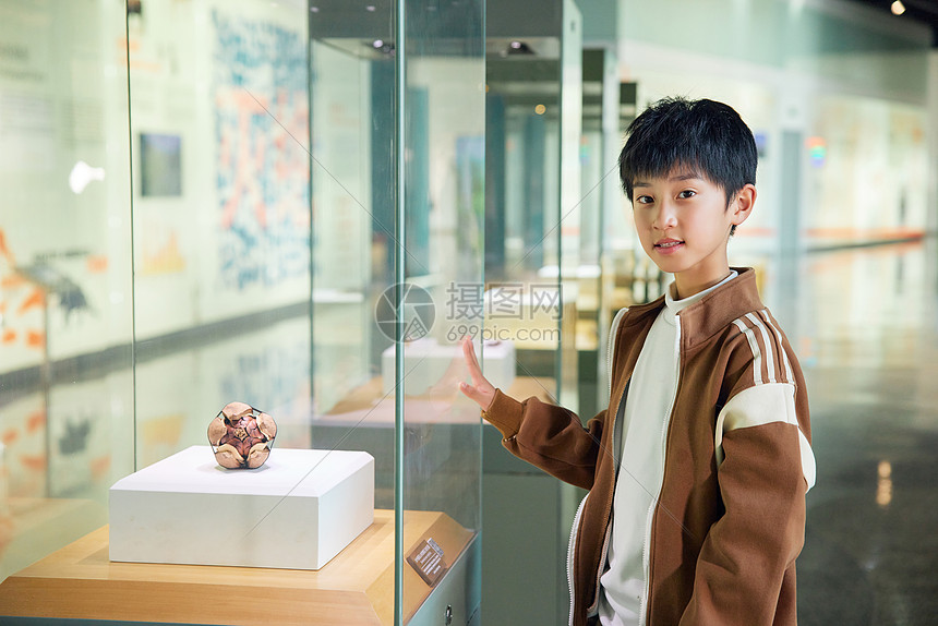 小学生在博物馆观察标本图片